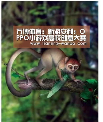 万博体育:新游安利:OPPO小游戏高校创意大赛花落《剪红》 发掘优才助力行业发展(图1) 万博体育